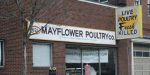Mayflower Poultry